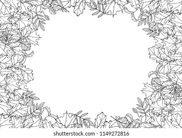Autumn Background Layout Frame with Falling Leaves. Poster or Card. Maple Rowan, Oak, Hawthorn, Birch. Red, Orange and Yellow. Realistic Hand Drawn High Quality Vector Illustration. Doodle Style.