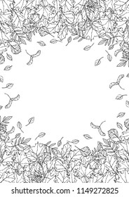 Autumn Background Layout Frame with Falling Leaves. Poster or Card. Maple Rowan, Oak, Hawthorn, Birch. Red, Orange and Yellow. Realistic Hand Drawn High Quality Vector Illustration. Doodle Style.