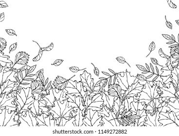 Autumn Background Layout Frame with Falling Leaves. Poster or Card. Maple Rowan, Oak, Hawthorn, Birch. Red, Orange and Yellow. Realistic Hand Drawn High Quality Vector Illustration. Doodle Style.