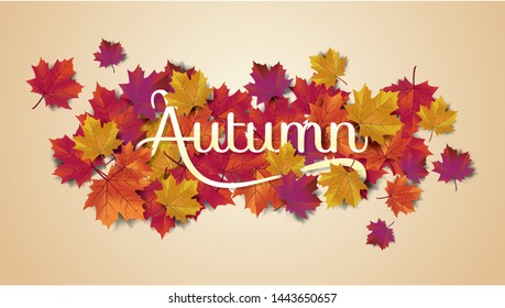 Autumn background layout typography decorate with leaves for greeting promo poster or web banner.Vector illustration template.