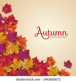 Autumn background layout typography decorate with leaves for greeting promo poster or web banner.Vector illustration template.