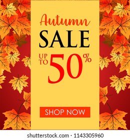Autumn background leaf illustration