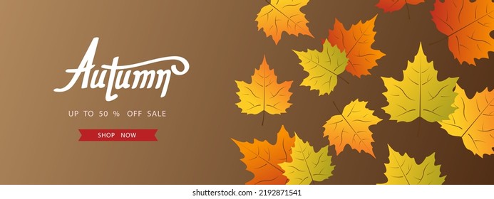 Autumn background with leaf for shopping sale Banner for promotion discount season. Vector illustration template. Thanksgiving backdrop