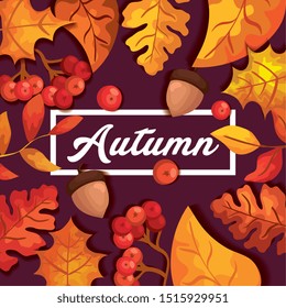 autumn background with leafs and nuts fruit