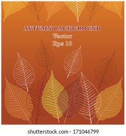 autumn background with leafs and place for text