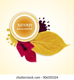 Autumn background with leafs and stains. Red, violet  and yellow. Vector illustration. Eps 10
