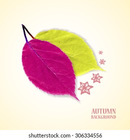 Autumn background with leafs  and stars in purple and green. Vector illustration. Eps 10
