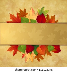 Autumn background with leaves