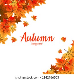 Autumn background leaves