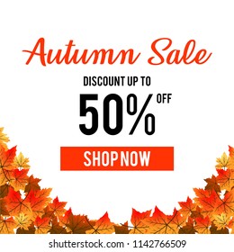 Autumn background leaves