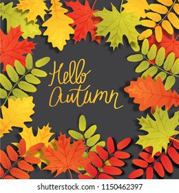 Autumn background with autumn leaves .