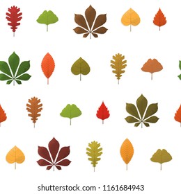 Autumn background with leaves. 
