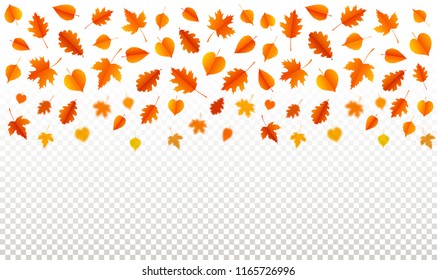 Autumn background with leaves.