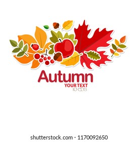 autumn background with leaves