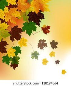 Autumn background with leaves
