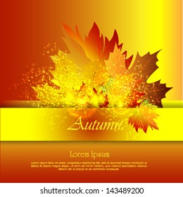 Autumn background with leaves