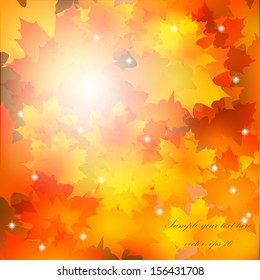 Autumn background, autumn leaves