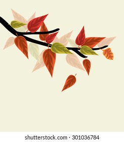 Autumn background with leaves