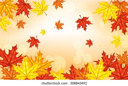 Autumn background with leaves