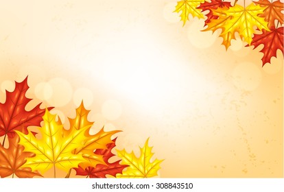 Autumn background with leaves