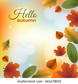 Autumn background with leaves