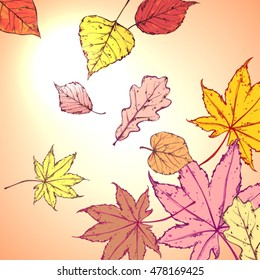 Autumn background with leaves.