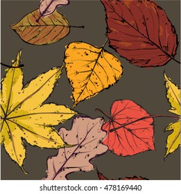Autumn background with leaves.