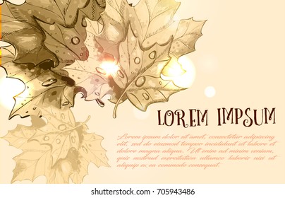 Autumn background with leaves.