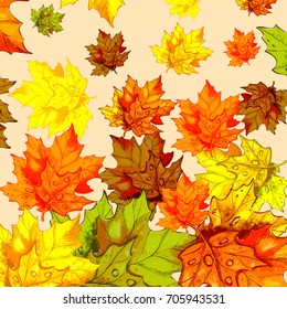 Autumn background with leaves.