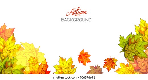 Autumn background with leaves. 