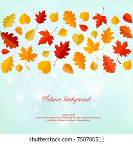 Autumn background with leaves.