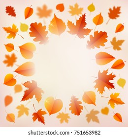 Autumn background with leaves.