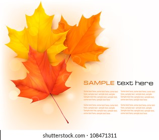 Autumn background with leaves. Back to school. Vector illustration