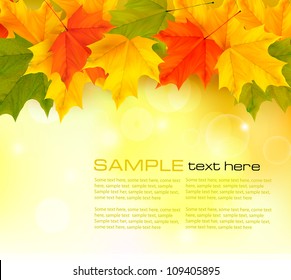 Autumn background with leaves. Back to school. Vector illustration.