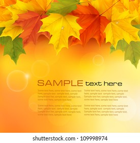  Autumn background with leaves. Back to school. Vector illustration.