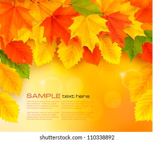 Autumn background with leaves. Back to school. Vector illustration.