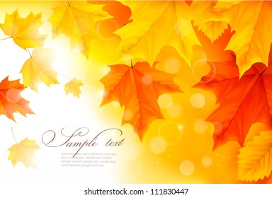 Autumn background with leaves  Back to school  Vector illustration