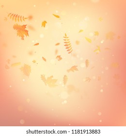 Autumn background with leaves. Back to school template. EPS 10 vector file