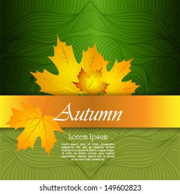 Autumn, background with leaves. Back to school