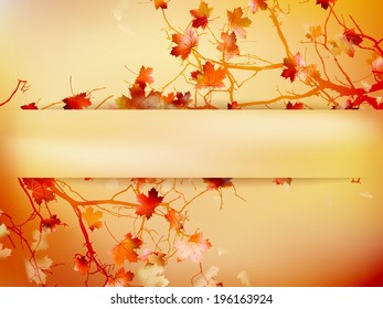 Autumn background with leaves Back to school.  EPS 10 vector