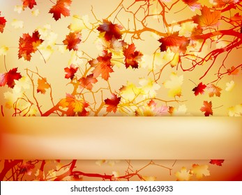 Autumn background with leaves Back to school.  EPS 10 vector