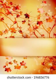 Autumn background with leaves Back to school. And also includes EPS 10 vector