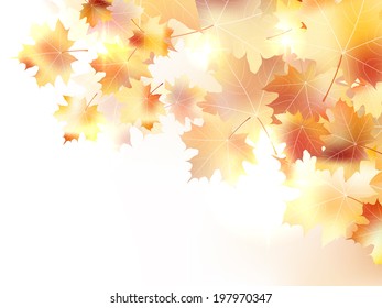 Autumn background with leaves. Back to school. plus EPS10 vector file