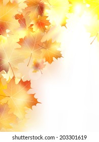 Autumn background with leaves. Back to school. plus EPS10 vector file