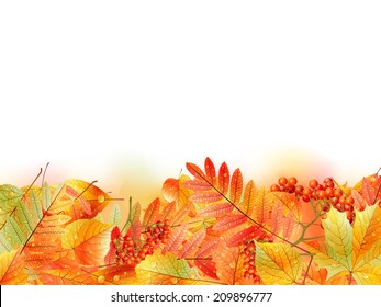 Autumn background with leaves. Back to school. with copyspace. EPS10