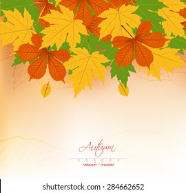 Autumn background with leaves. Back to school