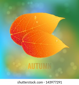 Autumn background with leaves and bokeh. Vector illustrator