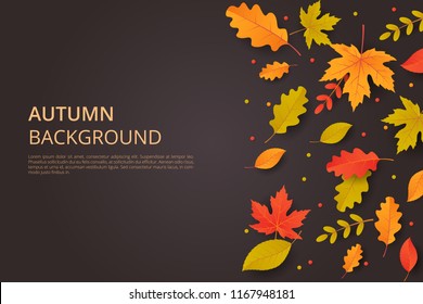 Autumn background with leaves. Can be used for poster, banner, flyer, invitation, website or greeting card. Vector illustration