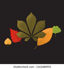 Autumn background with leaves. Design element, vector illustration
