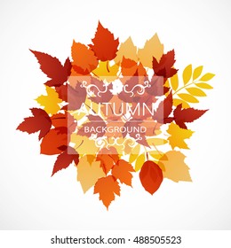Autumn background from leaves of different colors with the inscription